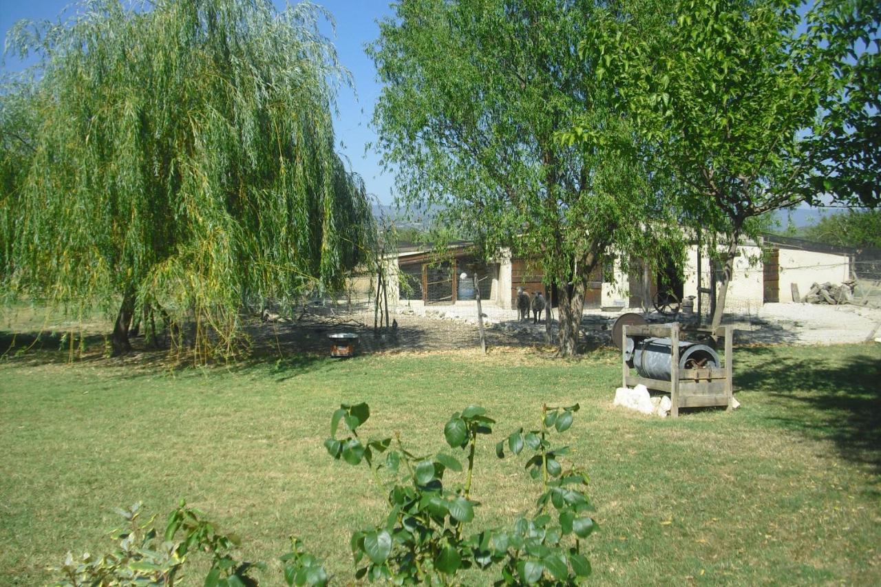 Willa Lou Mas Li Pitchoun "Le Luberon " Gordes Zewnętrze zdjęcie