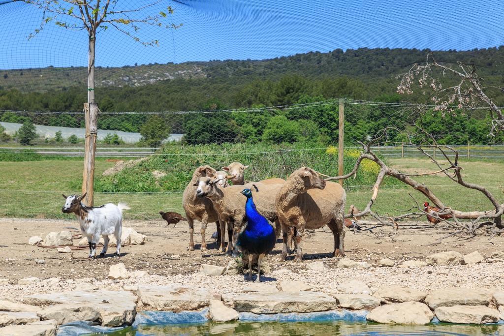 Willa Lou Mas Li Pitchoun "Le Luberon " Gordes Zewnętrze zdjęcie