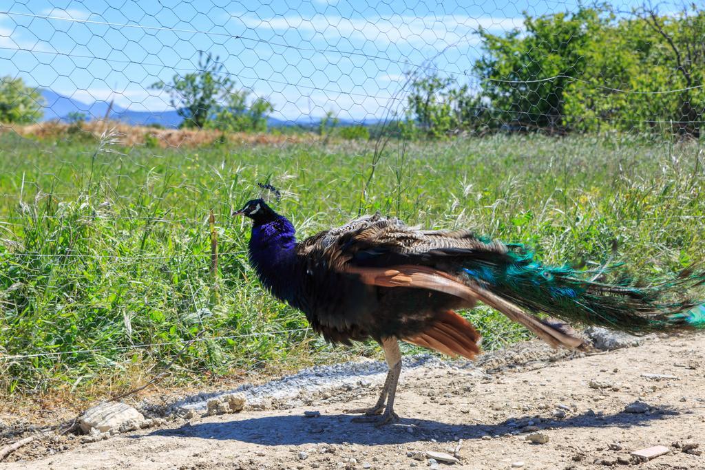 Willa Lou Mas Li Pitchoun "Le Luberon " Gordes Zewnętrze zdjęcie